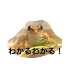 カエルと月と金魚。（個別スタンプ：13）