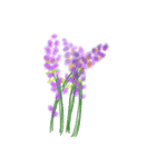 flower.s（個別スタンプ：16）