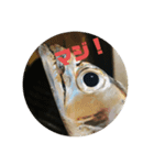 魚三昧ver8（個別スタンプ：3）