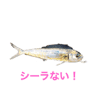 魚三昧ver8（個別スタンプ：7）