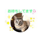 にゃん言葉2（個別スタンプ：8）
