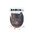にゃん言葉2（個別スタンプ：9）