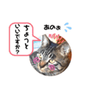 にゃん言葉2（個別スタンプ：10）