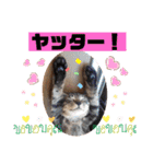 にゃん言葉2（個別スタンプ：13）