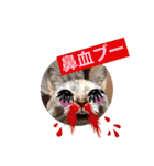 にゃん言葉2（個別スタンプ：18）