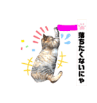にゃん言葉2（個別スタンプ：28）