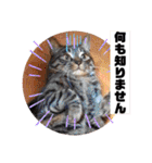 にゃん言葉2（個別スタンプ：32）