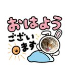 まおちゃん-1（個別スタンプ：1）