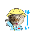 まおちゃん-1（個別スタンプ：5）