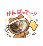 まおちゃん-1（個別スタンプ：8）