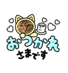 まおちゃん-1（個別スタンプ：11）