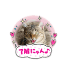 まおちゃん-1（個別スタンプ：12）