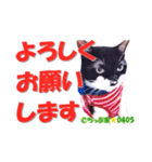 ちっぷ家★0405②（個別スタンプ：1）