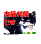ちっぷ家★0405②（個別スタンプ：2）