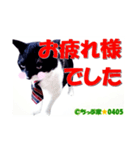 ちっぷ家★0405②（個別スタンプ：3）