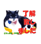 ちっぷ家★0405②（個別スタンプ：4）