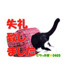ちっぷ家★0405②（個別スタンプ：5）