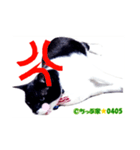 ちっぷ家★0405②（個別スタンプ：8）