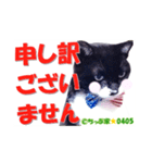 ちっぷ家★0405②（個別スタンプ：9）