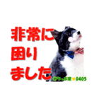 ちっぷ家★0405②（個別スタンプ：10）