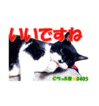 ちっぷ家★0405②（個別スタンプ：12）