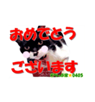ちっぷ家★0405②（個別スタンプ：14）