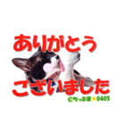 ちっぷ家★0405②（個別スタンプ：15）