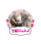 コロンちゃんとお友達（個別スタンプ：5）