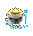 コロンちゃんとお友達（個別スタンプ：13）