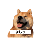 愛しのクムたん（個別スタンプ：2）