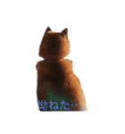 愛しのクムたん（個別スタンプ：8）
