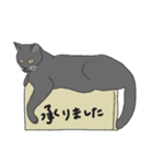 保護猫レオとルナ#1（個別スタンプ：5）