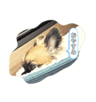 むーのまいにち（個別スタンプ：2）