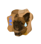 むーのまいにち（個別スタンプ：8）