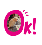 キュートなもこ（個別スタンプ：6）