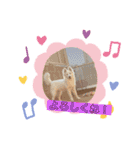 キュートなもこ（個別スタンプ：8）