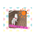 キュートなもこ（個別スタンプ：9）