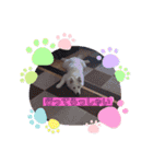 キュートなもこ（個別スタンプ：10）