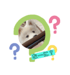 キュートなもこ（個別スタンプ：13）