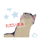 ちび 日和1（個別スタンプ：9）