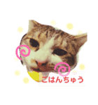 ちび 日和1（個別スタンプ：12）