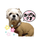 楽しい犬ライフ（個別スタンプ：4）