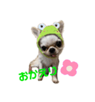 楽しい犬ライフ（個別スタンプ：7）