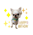 楽しい犬ライフ（個別スタンプ：9）