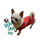 楽しい犬ライフ（個別スタンプ：10）