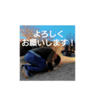 日常会話スタンプ 写真編 [HSI]（個別スタンプ：21）