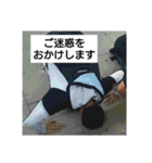 日常会話スタンプ 写真編 [HSI]（個別スタンプ：26）