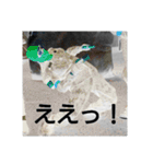 日常会話スタンプ 写真編 [HSI]（個別スタンプ：29）