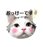 ちょろ◎#2【猫】【敬語】【日常】（個別スタンプ：11）