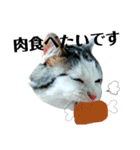 ちょろ◎#2【猫】【敬語】【日常】（個別スタンプ：16）